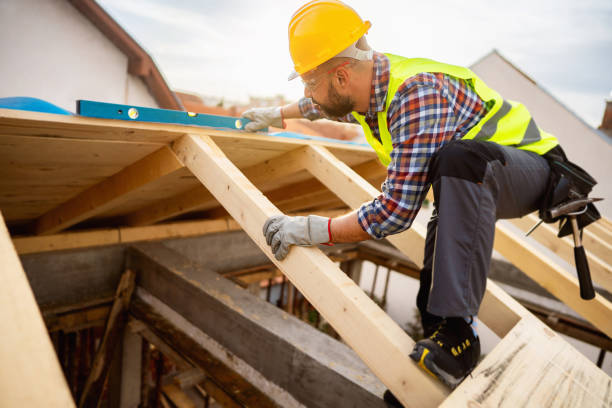 Best Roof Gutter Cleaning  in Reston, VA